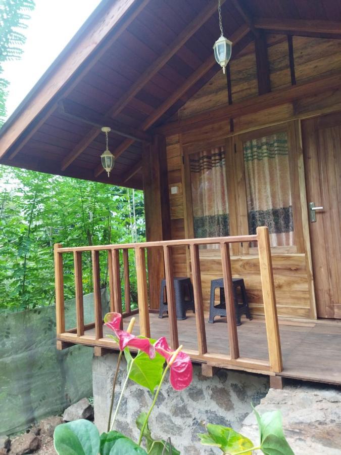 Koslanda Diyaluma View Cotage酒店 外观 照片